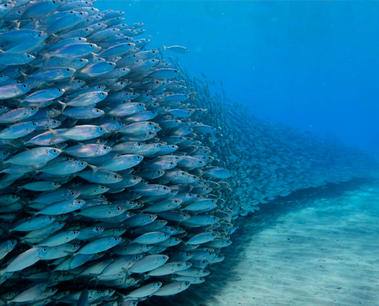 Atempo Data Management Solutions Homepage Atempo